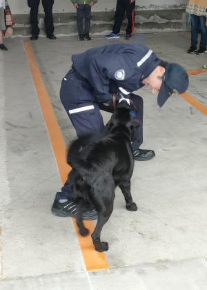 この写真は麻薬探知犬デモの様子です。