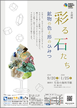 企画展「彩る石たち ～鉱物の色と形のひみつ～」チラシサムネイル画像