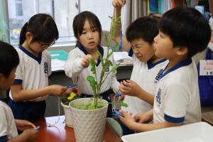 ３年生の授業風景です