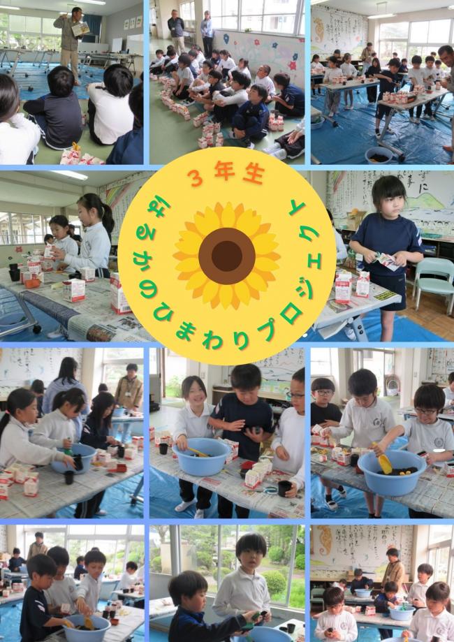 はるかのひまわり