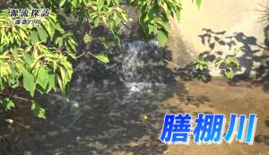 膳棚川
