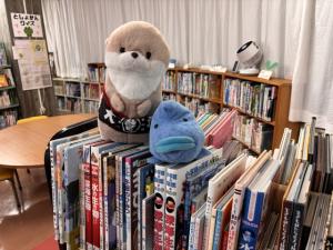 この写真はぬいぐるみのおとまり会の様子です。