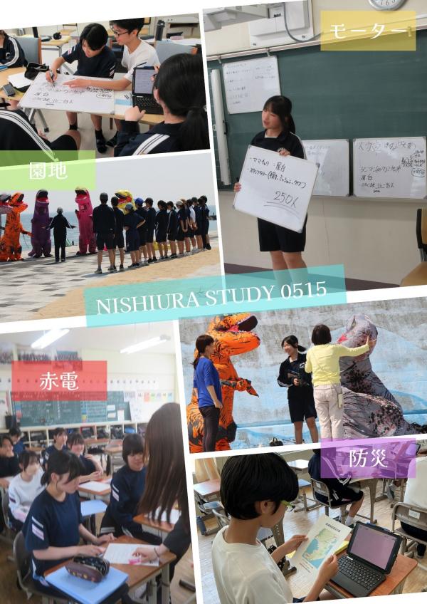 NS3