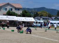 活動の様子