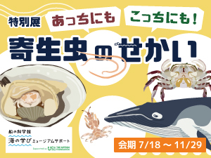 特別展「あっちにもこっちにも！寄生虫の世界」のバナー画像