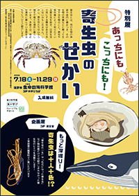 特別展「あっちにもこっちにも!寄生虫のせかい」チラシサムネイル画像