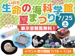 生命の海科学館夏まつりのバナー画像