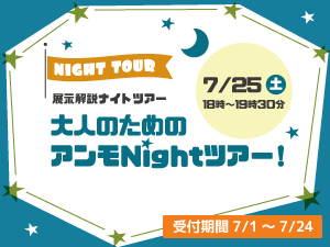 展示解説ナイトツアー「大人のためのアンモNightツアー!」のバナー画像