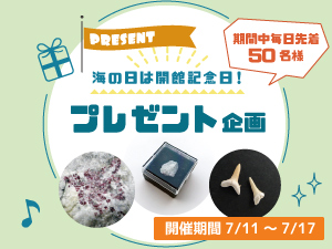 海の日は開館記念日!「プレゼント企画」のバナー画像