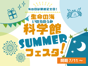 生命の海科学館SUMMERフェスタ!のバナー画像