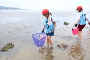 海で生き物を探している様子です