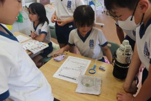 学校に戻って生き物のスケッチをしている様子です