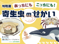特別展「あっちにもこっちにも！寄生虫のせかい」サムネイル画像