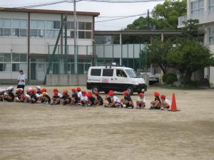 kuruma