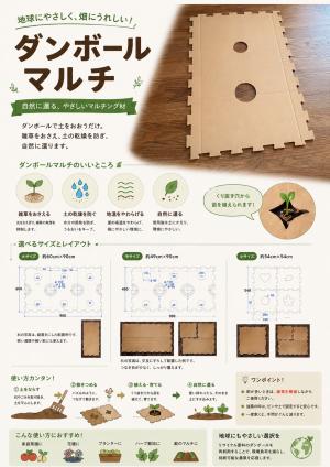 モニターチラシ