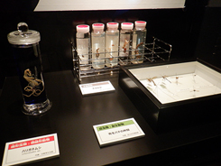 企画展会場風景写真