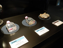 企画展会場風景写真