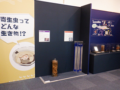 特別展会場風景写真