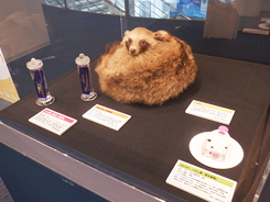特別展会場風景写真
