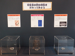 特別展会場風景写真