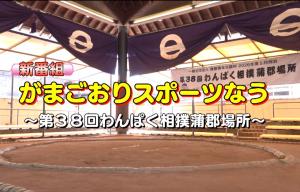 わんぱく相撲