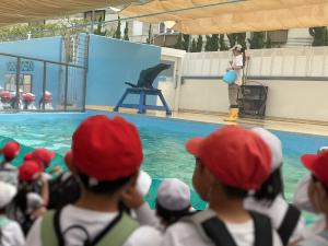 竹島水族館（アシカショー）