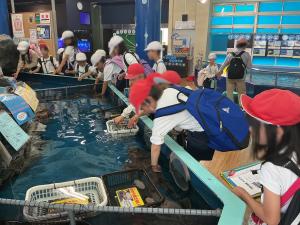 竹島水族館（さわりんプール）