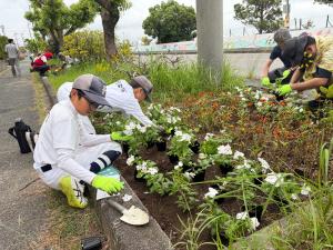 花植え替え3
