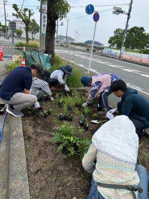 市民と植え付け