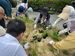 6月30日 植え付け写真