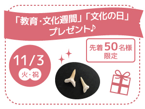 「教育・文化週間」「文化の日」プレゼント♪のバナー画像