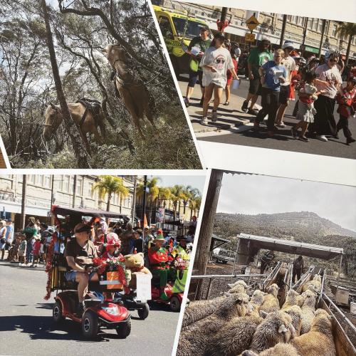 ２０２６年ギズボーン市民撮影写真