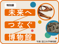 特別展「未来へつなぐ博物館」サムネイル画像