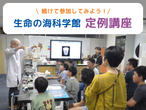 生命の海科学館定例講座のバナー画像