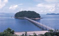 八百富神社社叢 プリンスホテルからの竹島