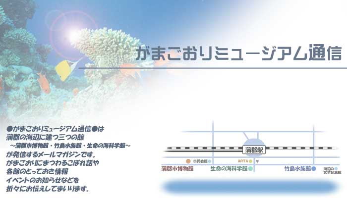 がまごおりミュージアム通信は蒲郡の海辺に建つ三つの館、蒲郡市博物館、竹島水族館、いのちの海科学館が発信するメールマガジンです。蒲郡にまつわるこぼれ話や各館のとっておき情報、イベントのお知らせなどを折々にお伝えしてまいります。