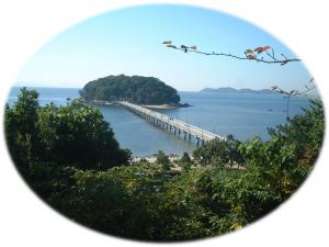 竹島の写真があります
