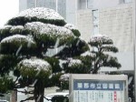 雪景色１