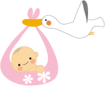 イラスト：コウノトリが赤ちゃんを運んでいる画像です