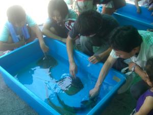 23竹島水族館タッチプール