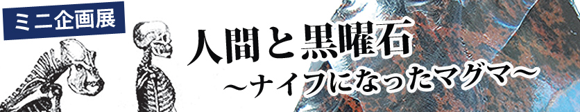 ミニ企画展「人間と黒曜石～ナイフになったマグマ～」