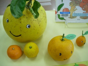 児童室「かんきつ類」大集合！