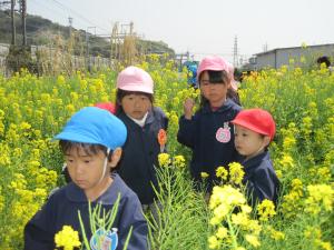 菜の花きれいだね