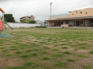 園庭全体の様子