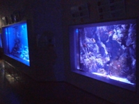 竹島水族館の画像２