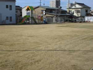 12月９日冬芝の様子