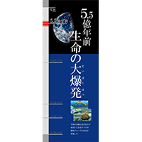 5.5億年前　生命の大爆発