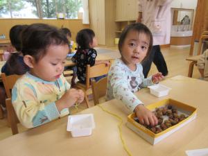 ２歳児がどんぐりのヒモとおしをしています