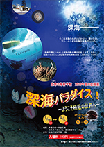 2010年夏の企画展　「深海パラダイス！～ようこそ極限の世界へ～」