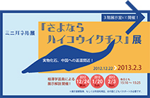 2012年冬のミニ企画展　「さよならハイコウイクチス展」